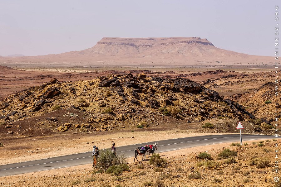l'oasis de Aïn N'khila à 25 km au sud de Boussemghoun (El Bayadh)