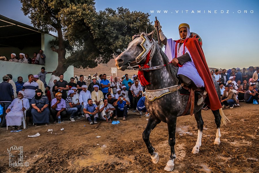 Cavalier au Mawssim du Saint Sidi Yahia Bensfia (Commune Sidi El Jillali - Tlemcen)