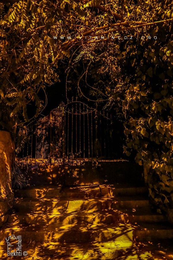 Tlemcen  Les jardins, havres de paix