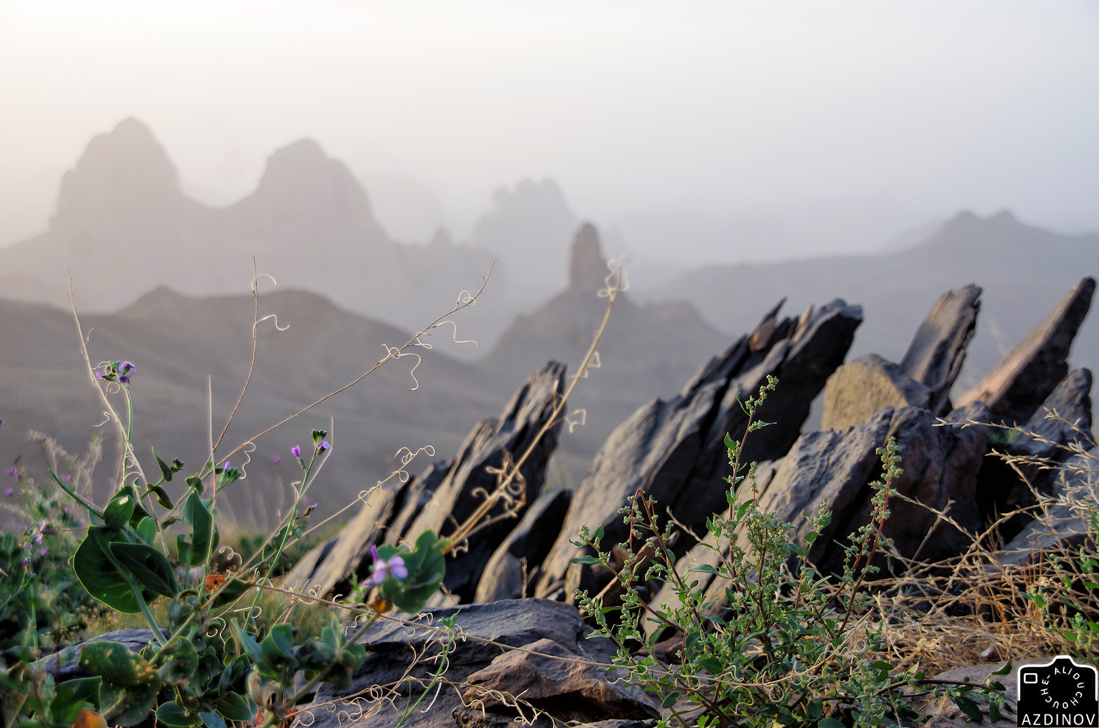 Paysage de l'Atakor [ Ahaggar ]