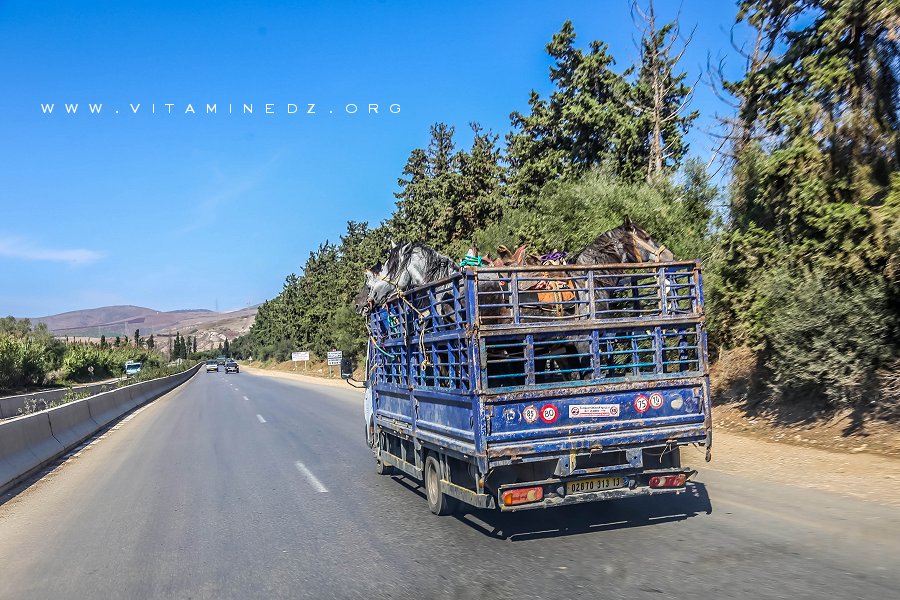 La saison des waadas prendra fin dans quelques jours ...