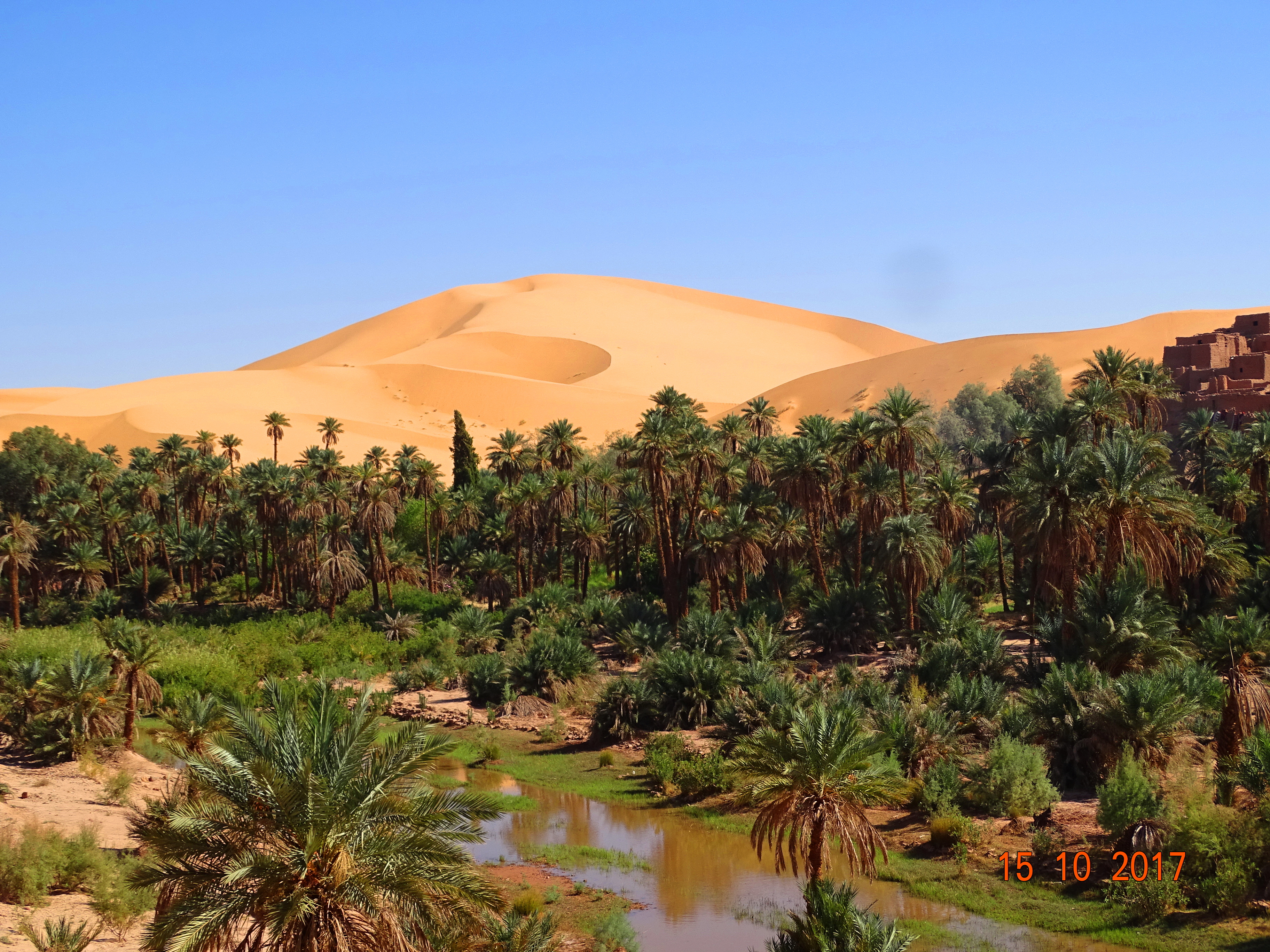 Taghit l'enchanterèsse !