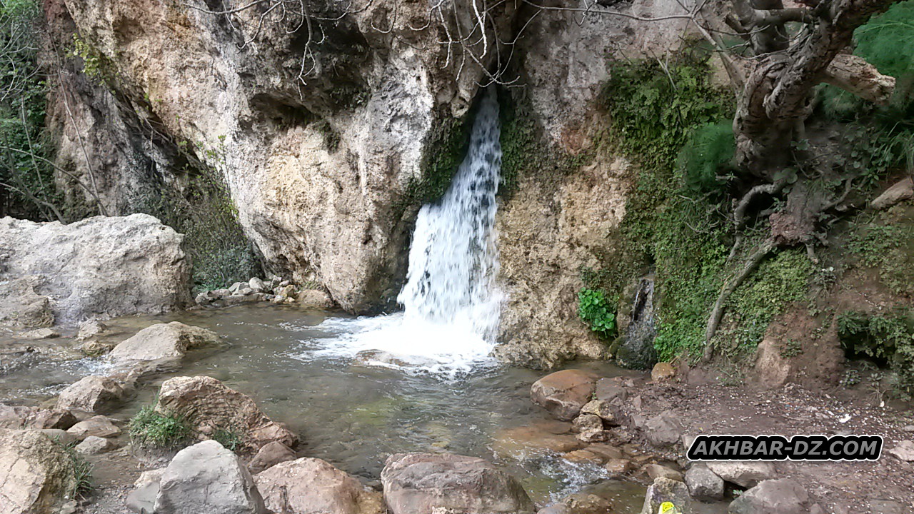 منبع المشاكي