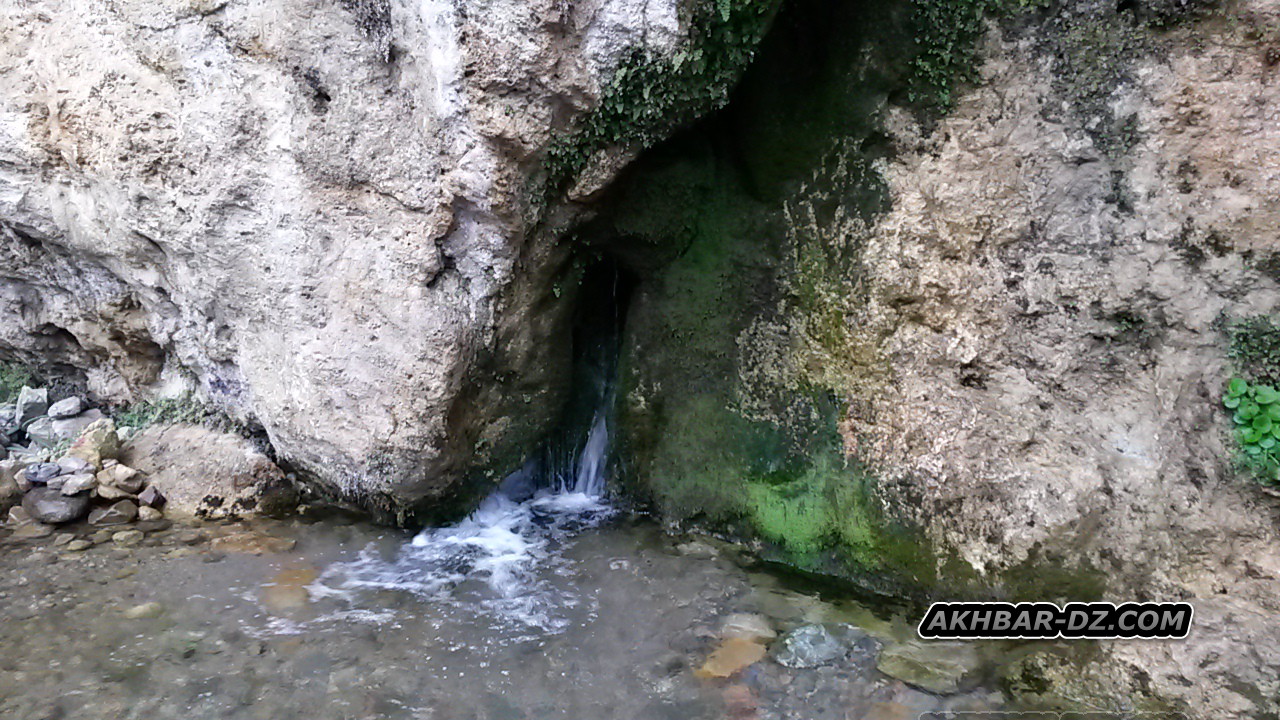 منبع المشاكي