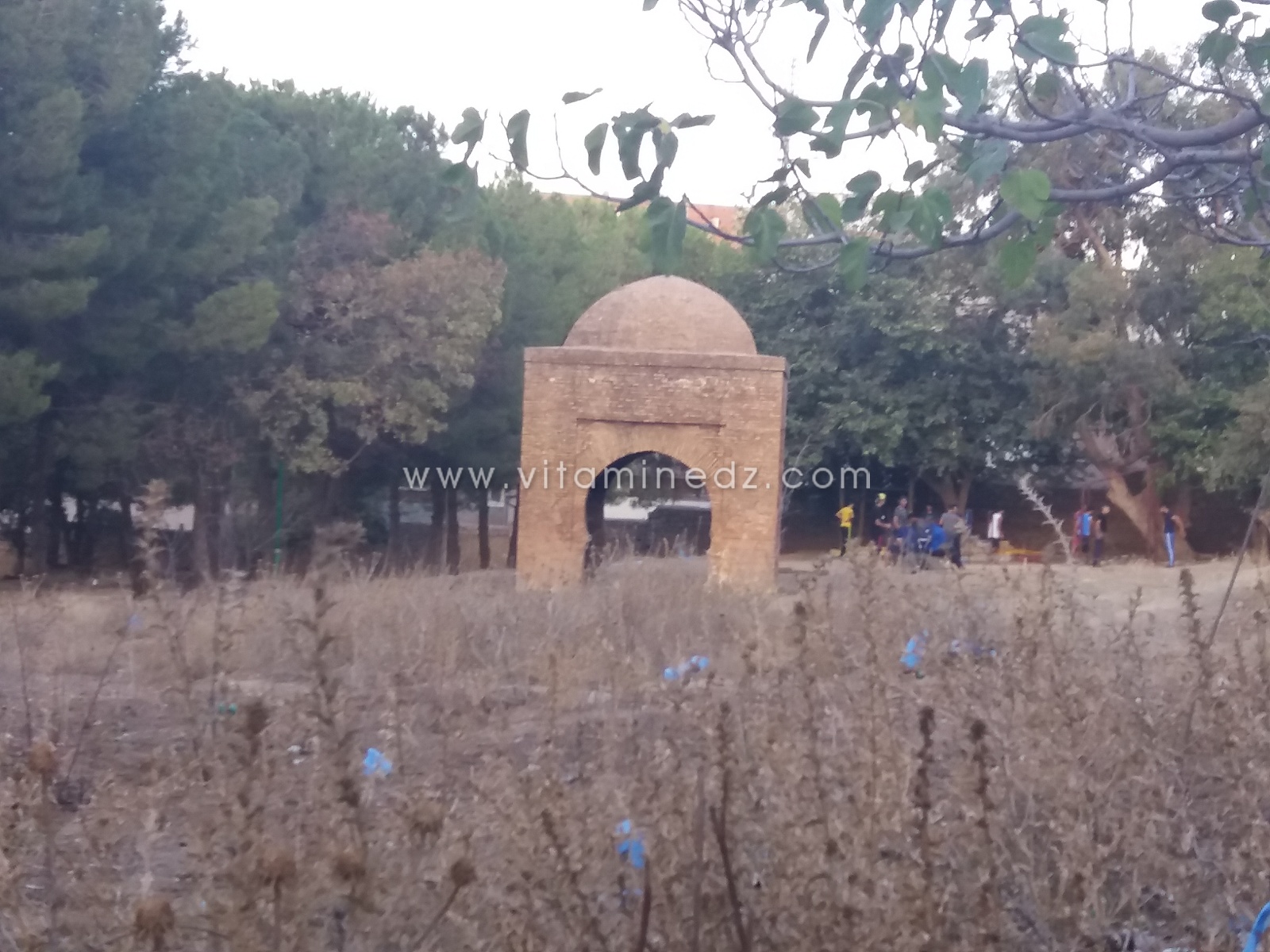 S.O.S Monuments en danger. à Tlemcen