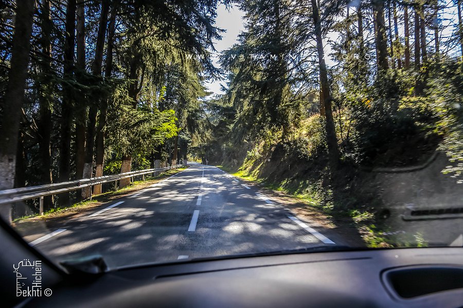 La station climatique de Chréa, destination préférée des Blidéens