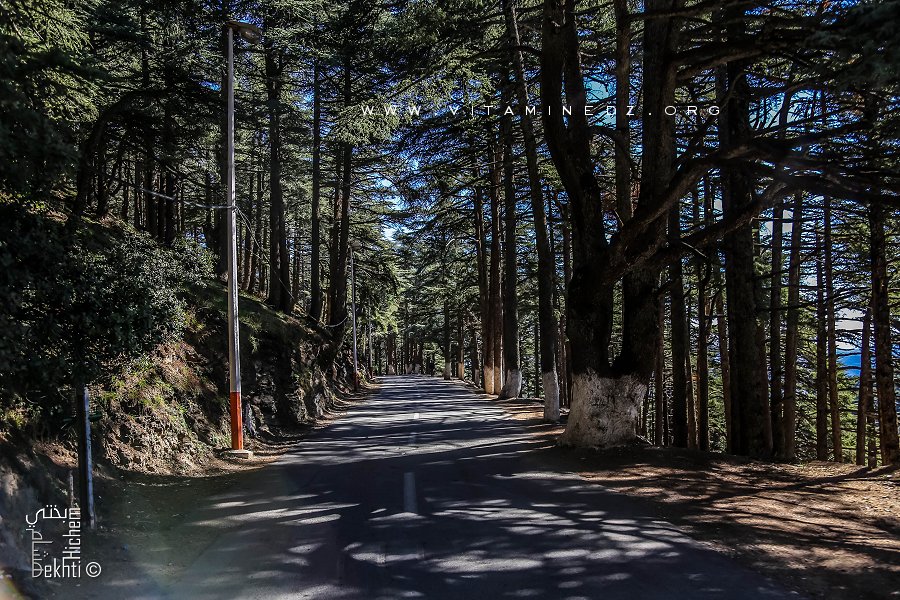 Route vers Chrea, destination touristique sur l'Atlas