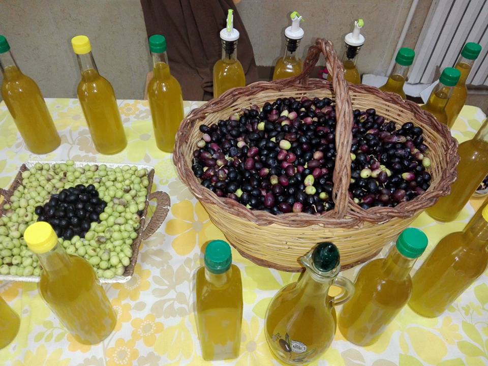 الزيتون الحبة المباركة