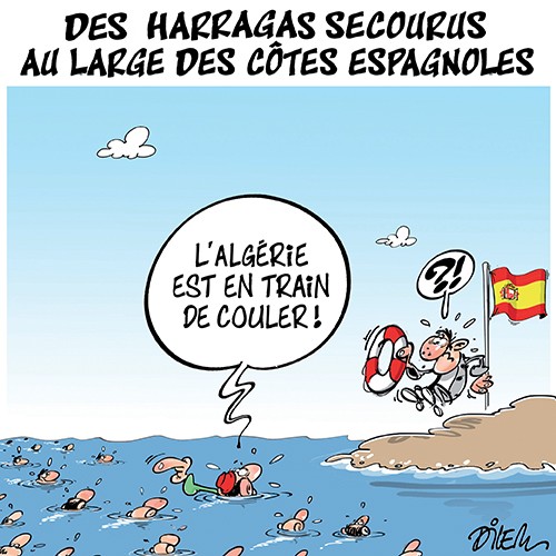 RIGOLER AVEC DILEM  SUR LES HARRAGAS HHHHHHHHH