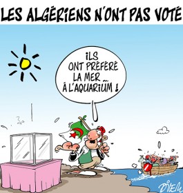 RIGOLER AVEC DILEM ET LE VOTE HHHHHHHHH