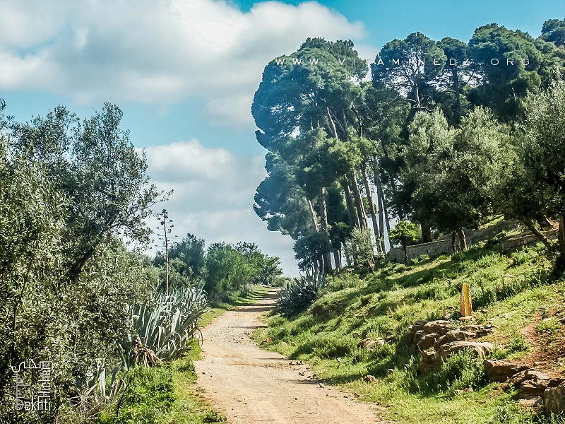 Tlemcen - Station Sidi Abdallah d'El Baal - Un lieu historique et site naturel