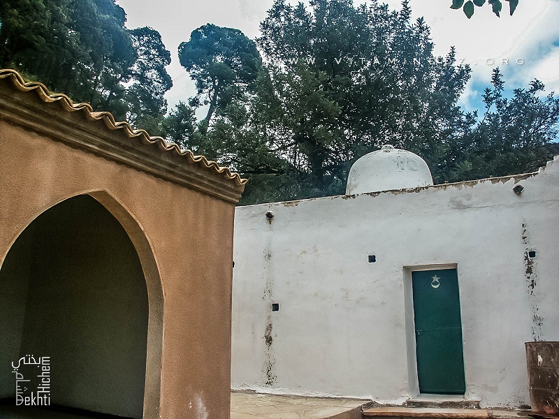 Tlemcen - Station et Mausolée de Sidi Abdallah d'El Baal - Un lieu historique et site naturel