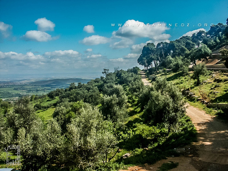 Tlemcen - Station Sidi Abdallah d'El Baal - Un lieu historique et site naturel