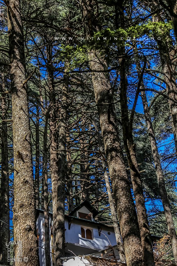 Parc National de Chrea