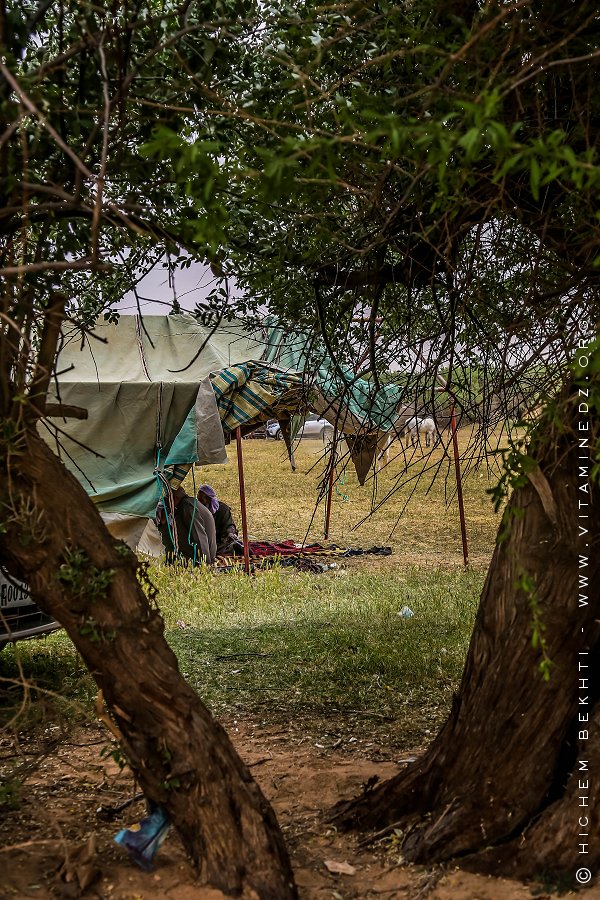 Khaymas pour les invités - Waada Sidi khlifa, El kheither 2017
