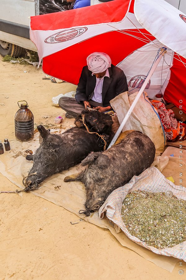 Vendeur huile de cade (3ssel el guerba)  - Waada Sidi khlifa, El kheither 2017