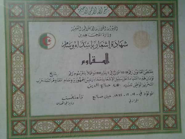 مجاهد صلاح الدين محمد