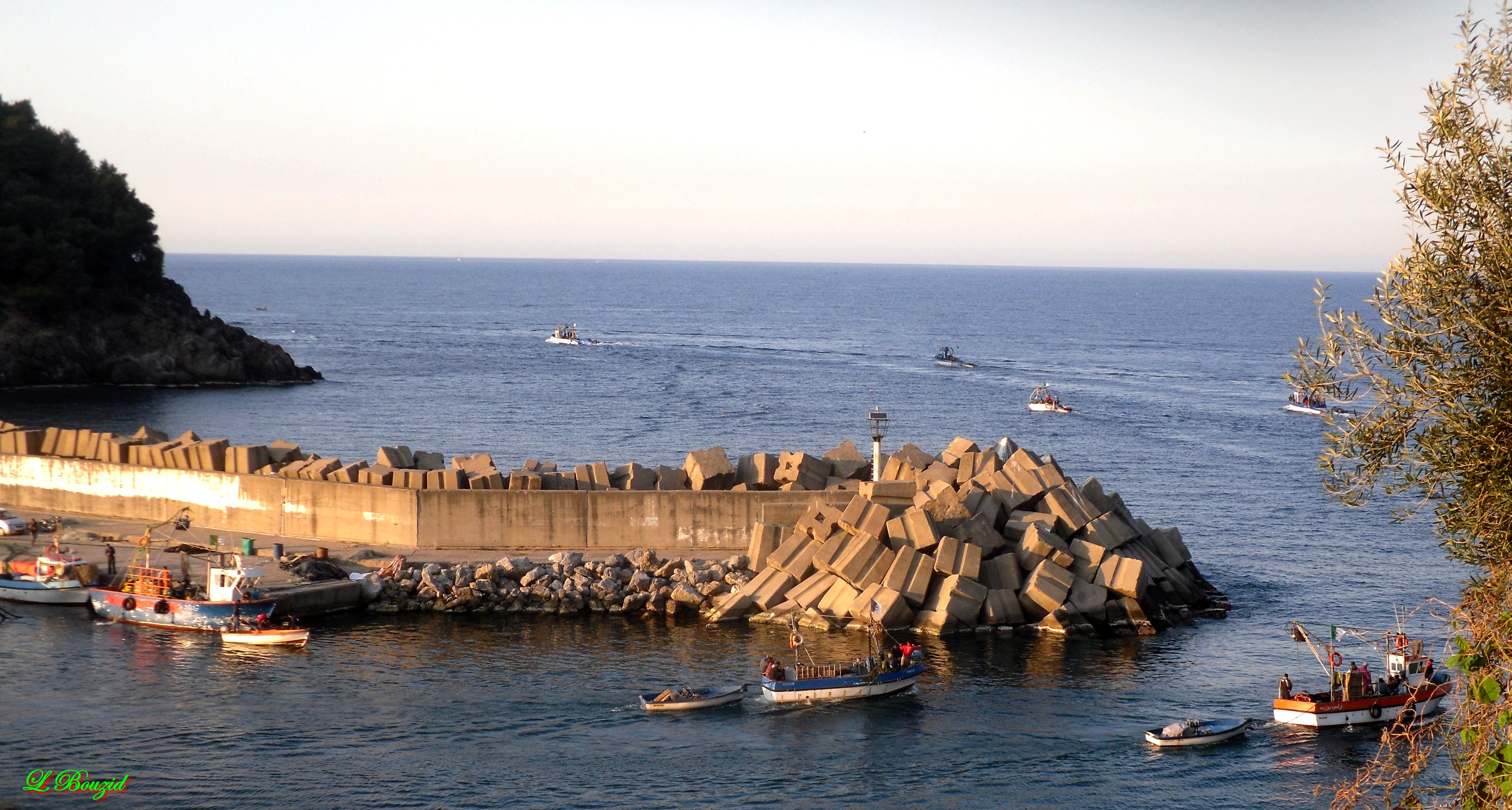 Sortie en mer des sardiniers