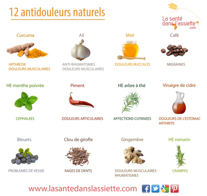 12 anti douleurs naturels