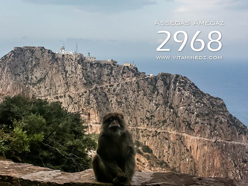 Assegas amegaz 2968 du cap Carbon