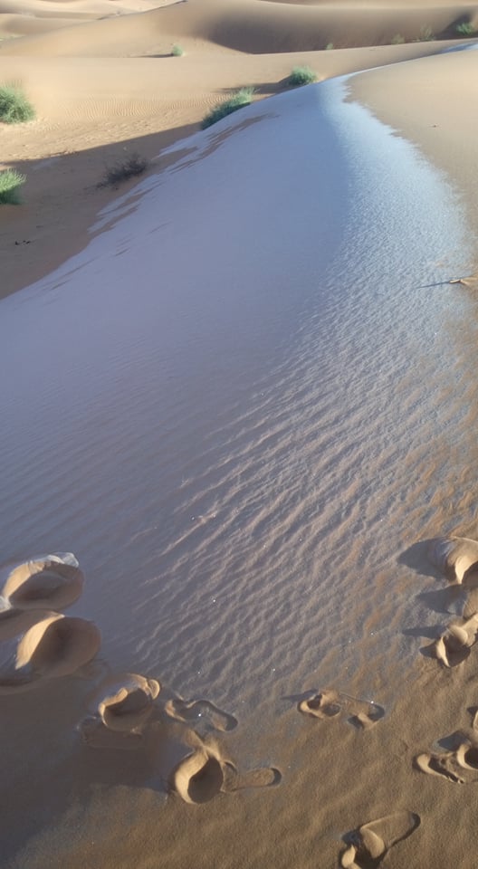 جمال الابيض مع الكتبان ب كرزاز