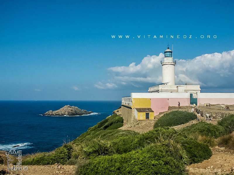 Skikda - Phare du Cap de Fer (Ras El Hadid)