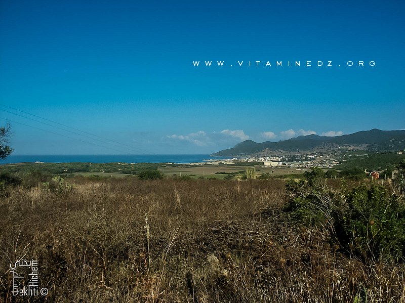 El Marsa (wilaya de Skikda), l'antique Culucitanis
