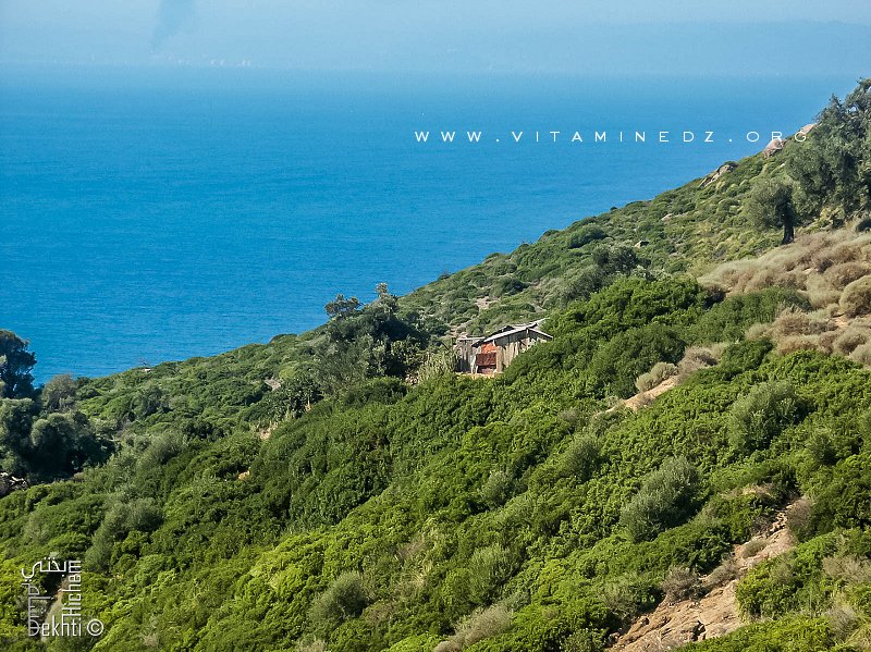 Cabane de pêcheur au Cap de Fer (El Marsa - Skikda)