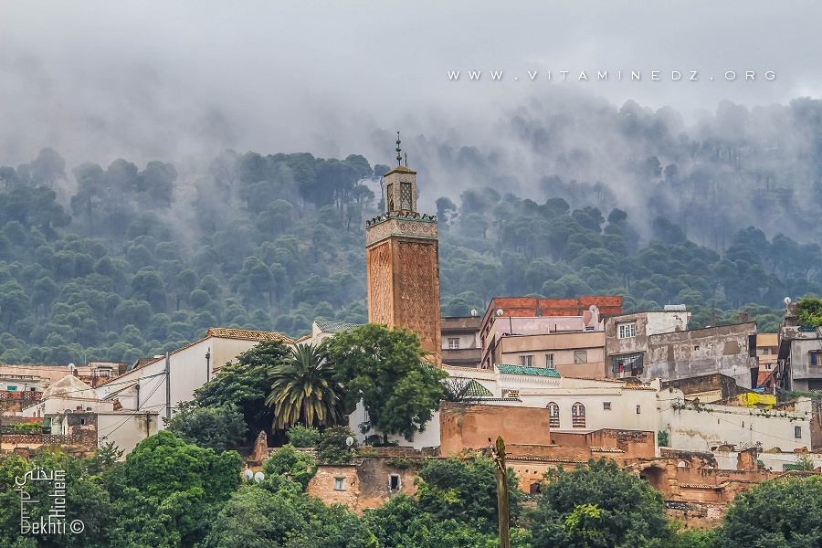 El Eubbad, quartier historique de Tlemcen