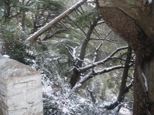 les montagne du Djurdjura