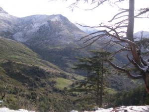 les montagne du Djurdjura