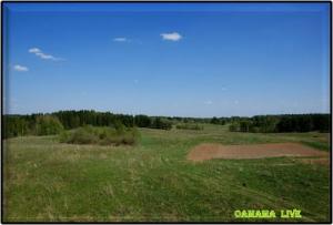 بلدية العامرية