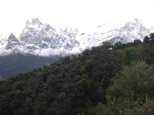 la montagne de djurdjura