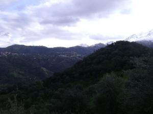 la forie de la kabylie