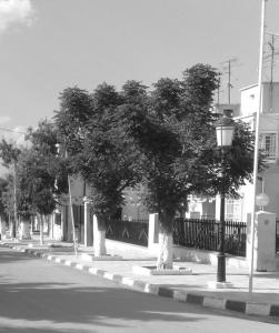 Photographie du jardin public en 1998