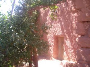 Maison à ksar de Tiout