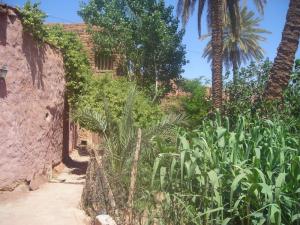 Côté du ksar de Tiout