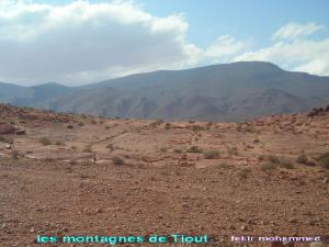 les montganes de  Tiout
