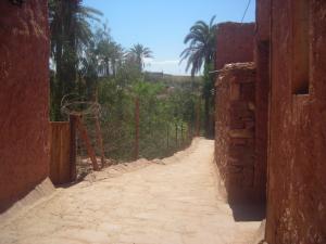 جانب من قصر تيوت