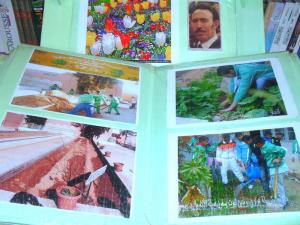 Album photo contient des photos Club vert CEM Houari Boumediene Tiout