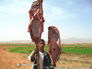 شواء في البادية