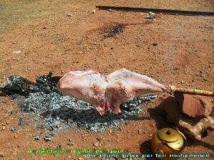 le mechoui region de naama Tiout