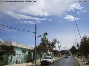Un nid de cigogne au sommet de mosquée a Sidi Hosni - Tiaret