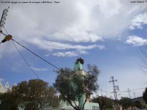 Un nid de cigogne au sommet de mosquée a Sidi Hosni - Tiaret (01)