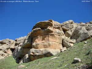 Un rocher en montagne a Sidi Hosni - Waldeck Rousseau - tiaret  (01)