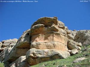 Un rocher en montagne a Sidi Hosni - Waldeck Rousseau - tiaret  (02)