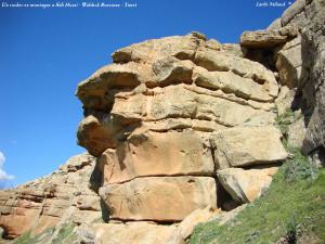 Un rocher en montagne a Sidi Hosni - Waldeck Rousseau - Tiaret  (03)