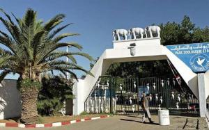 حديقة الحيوانات والتسلية بن عكنون