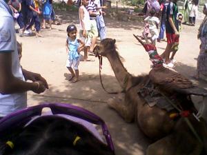 Nesrine, fille de Tibar à Jijel, aout 2010.