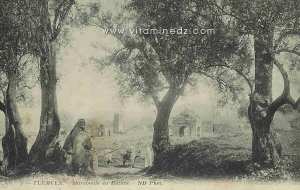 Tlemcen, marabouts en ruines